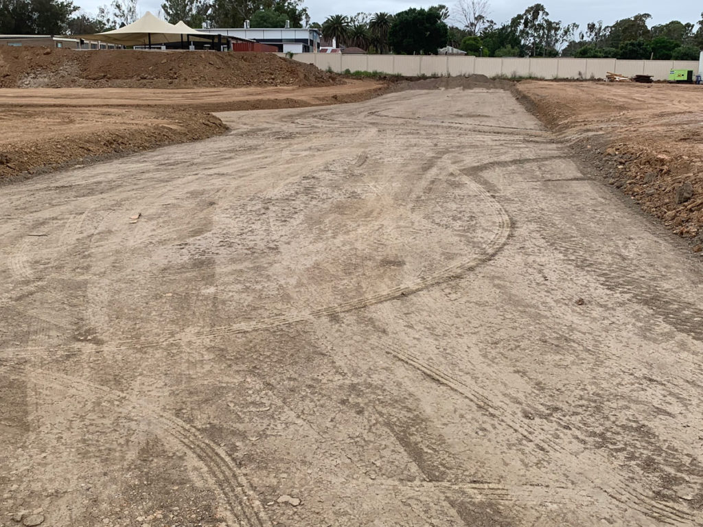 The wattles Project Update : November 7