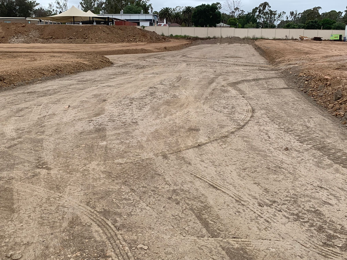 The wattles Project Update : November 7