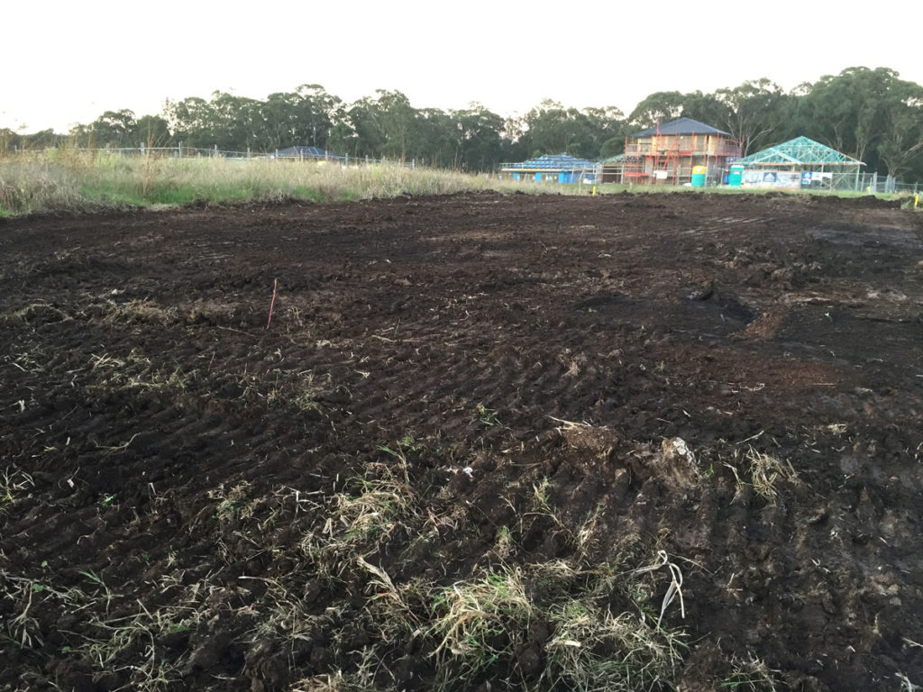 The site cleared and levelled at Gumnut at Riverstone
