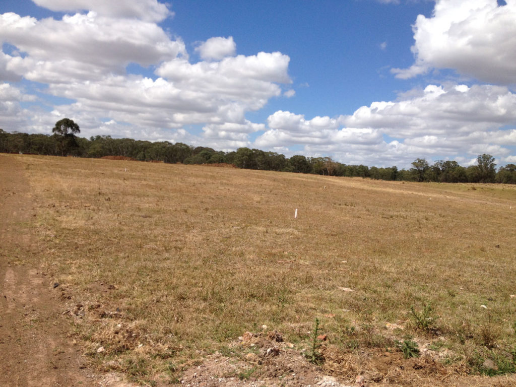 The land at Grantham Farm before work began