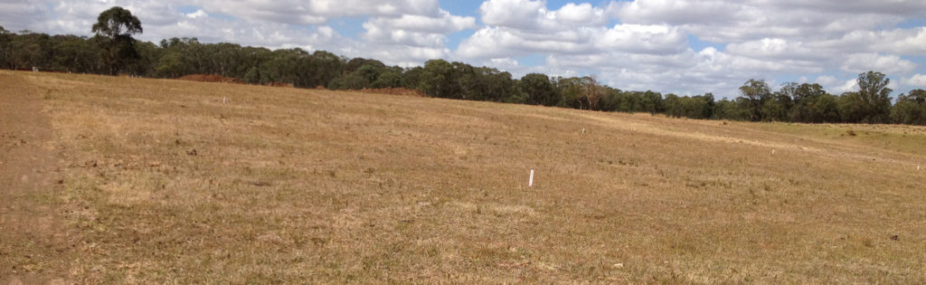 The land at Grantham Farm before work began